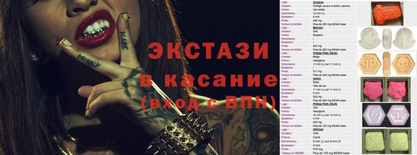 дмт Богданович