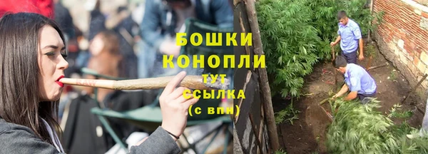 дмт Богданович