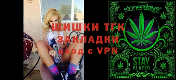 дмт Богданович