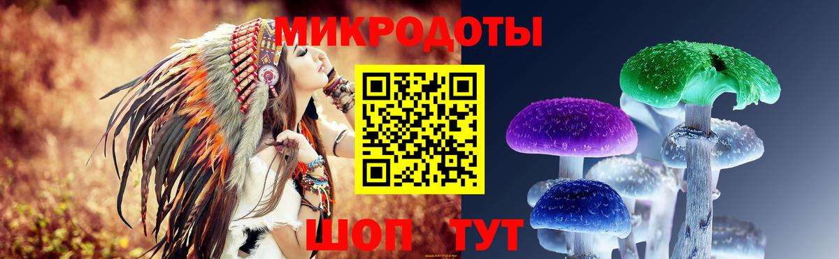 Свободный  Галлюциногенные грибы GOLDEN TEACHER  Галлюциногенные грибы мухоморы  Вход с VPN 